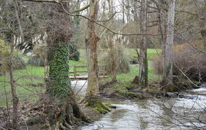 L'Odon