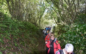 chemin avec obstacle