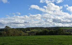 5f912088f0e4e_DSC4079.JPG