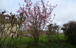 60531e09354d9_DSC00175.JPG