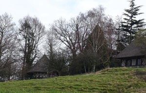 605c1e8f91f51_DSC00266.JPG
