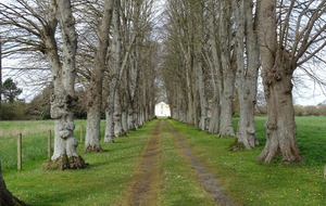 Allée du Château des Fresnes à Campigny