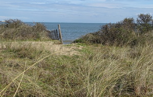607e6eb485615_DSC00461.JPG