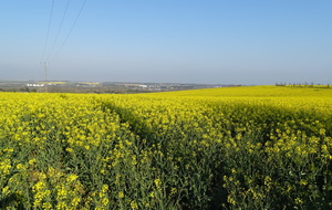 607e72ce00dc9_DSC00513.JPG