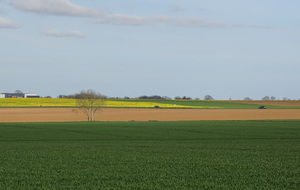 607e731d355d2_DSC00537.JPG