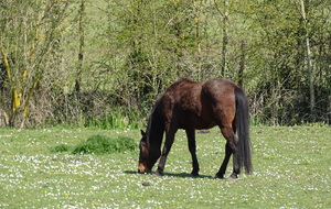 609b96da4ffd1_DSC00494.JPG