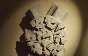 Clé de voûte de la vigne
