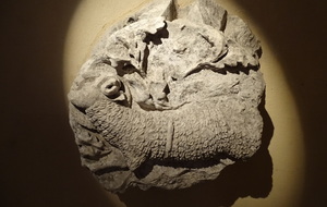Clé de voûte de l'agneau de Dieu