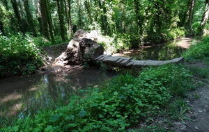 60c1b480414f2_DSC01097.JPG