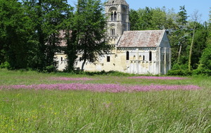 Ancienne Eglise Saint Pierre de Thaon construite aux XI et XII siècles