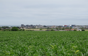 Vue sur Courseulles sur mer
