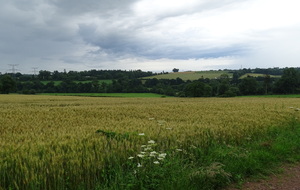 60d9665d8fd19_DSC01414.JPG