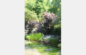 Jardin des fontaines pétrifiantes