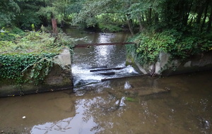 614973b31e000_DSC01780.JPG