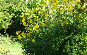 6157e563d3485_DSC01904.JPG