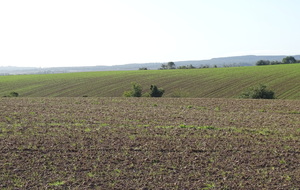 616d00d557d76_DSC01953.JPG