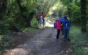 616d00f121453_DSC01956.JPG