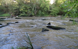 616d065d0543d_DSC02004.JPG