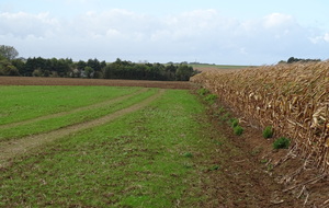 6171066843a49_DSC02242.JPG
