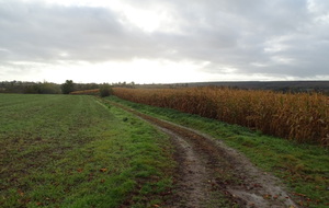 619c8cf68f962_DSC02466.JPG