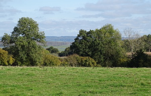 61a33bc08b475_DSC02309.JPG