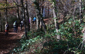 61a5cf27579b3_DSC02558.JPG