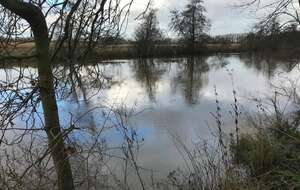 61daff10b9d70_IMG2246.jpg