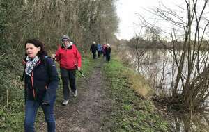 61daff204e139_IMG2247.jpg