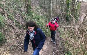 61daff3938558_IMG2250.jpg