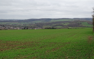 61fb719f498d2_DSC02783.JPG