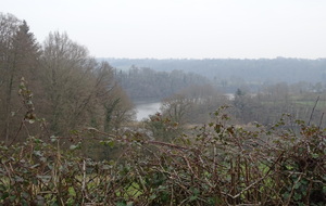 622785baa05c5_DSC02945.JPG