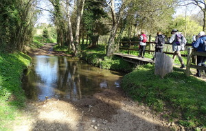 624147859717c_DSC03105.JPG