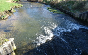 6241499937f43_DSC03028.JPG