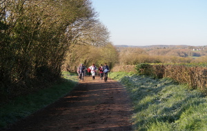 624a7c1833ade_20220403093545IMG0971.JPG