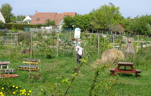 Jardins partagés Lion sur mer