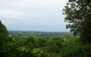 6281cd8f0bc59_DSC03669.JPG