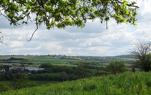 62a6f0244c385_DSC03596.JPG