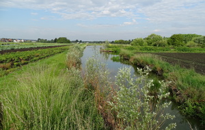 62a6fc404f121_DSC03765.JPG