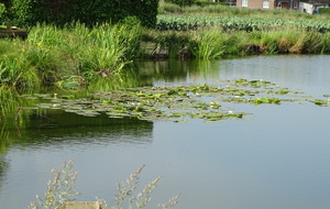 62a6fc7bb1678_DSC03766.JPG