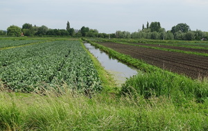 62a6fc98c9ddd_DSC03767.JPG