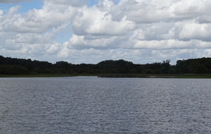 Étang de Curécy