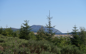 Le Mézenc