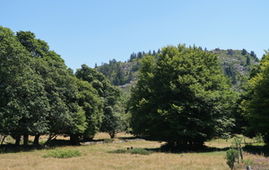 Le Sépoux