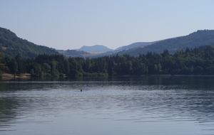 62e5816c2755b_IMG1922.JPG