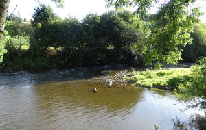 63158c3d7635a_DSC04390.JPG