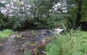 6333ce4c0a946_DSC04621.JPG
