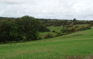 6333ce5744fc5_DSC04622.JPG