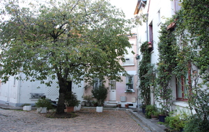 Cité Florale