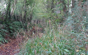 6368a5cee23ee_DSC05006.JPG