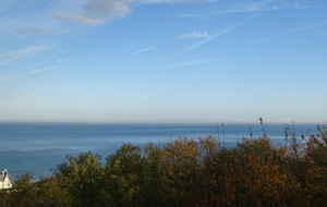63731feb48753_DSC05108.JPG